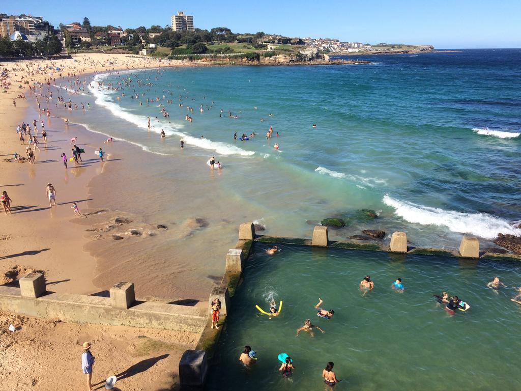 Podbed Coogee Beachside Sydney Rum bild