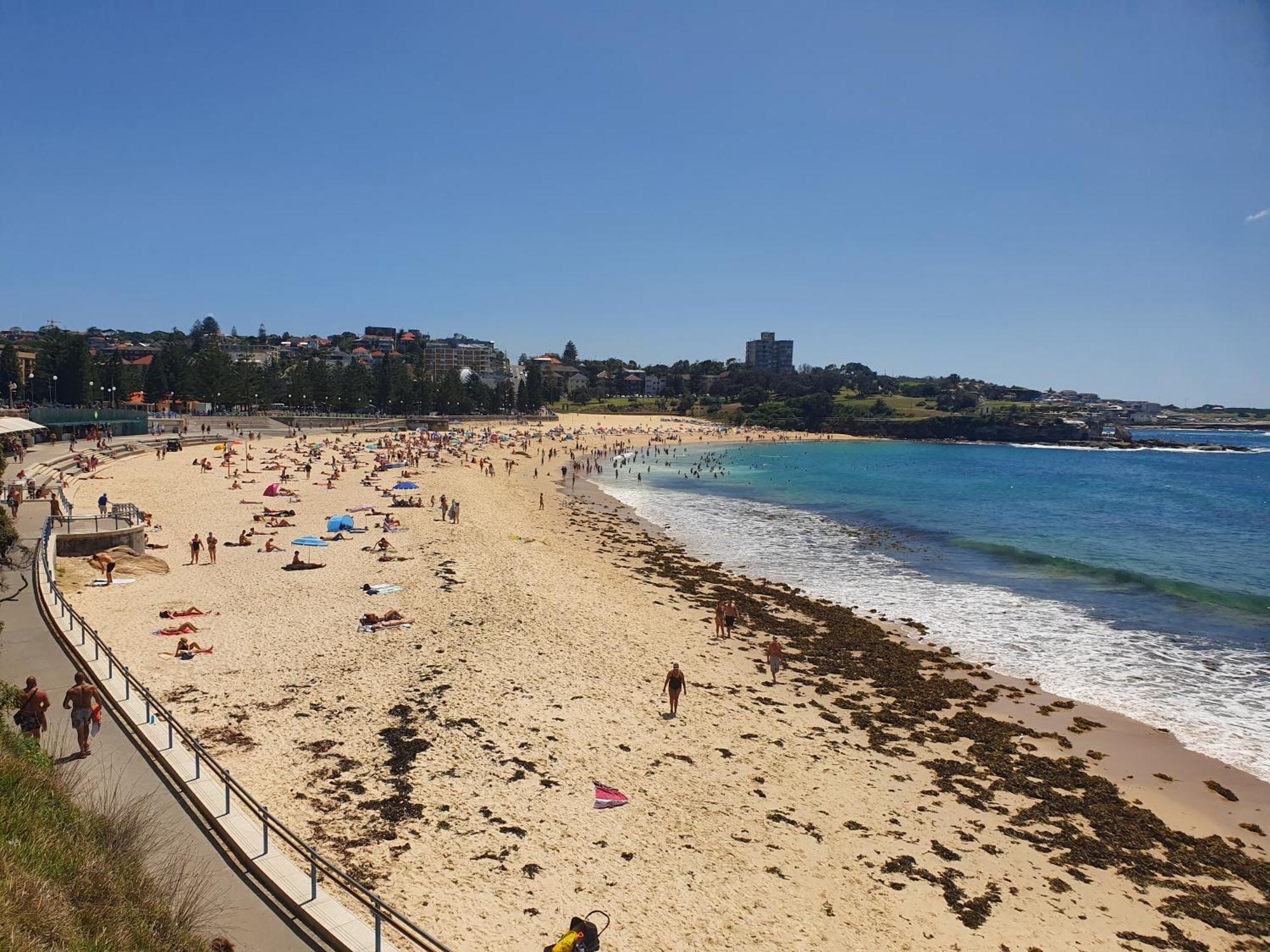 Podbed Coogee Beachside Sydney Exteriör bild